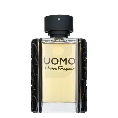 Salvatore Ferragamo Uomo (EDT) туалетная вода для мужчин 100 мл