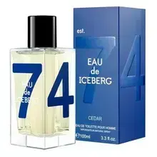 Eau de Iceberg Cedar tualettvesi meestele