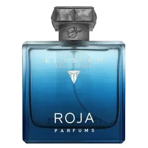 Roja Parfums Elysium Eau Intense Eau de Parfum for men 100 ml