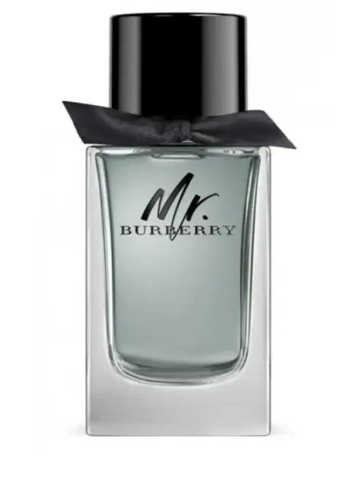 Burberry, Mr. Burberry, Eau De Toilette, For Men, 100 ml *Tester