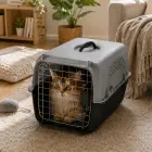 Dog carrier cat cage rabbit solid — Photo 2