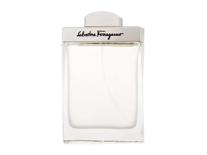 Salvatore Ferragamo Pour Homme (EDT) tualettvesi meestele 100 ml