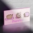 Pusheen Light Up Canvas — Photo 2