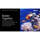 Xerox Genuine ® B305 Multifunction Printer/B310 Printer/B315 Multifunction Printer Black Standard capacity Toner Cartridge (3000 Pages) - 006R04376 — Фото 2