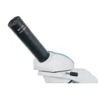 Levenhuk 500M Monocular Microscope — Photo 5