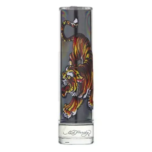 Christian Audigier Ed Hardy For Men Tualettvesi meestele 100 ml
