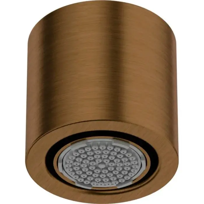 Deante 1-function shower head NQS_C30K