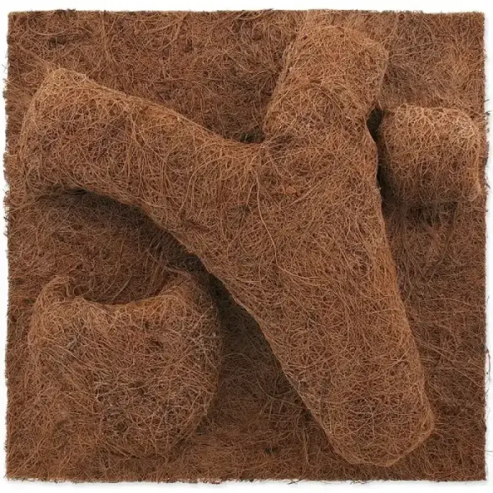 Fons terārijam : Repti Planet Coco Planter 30x30cm Photo