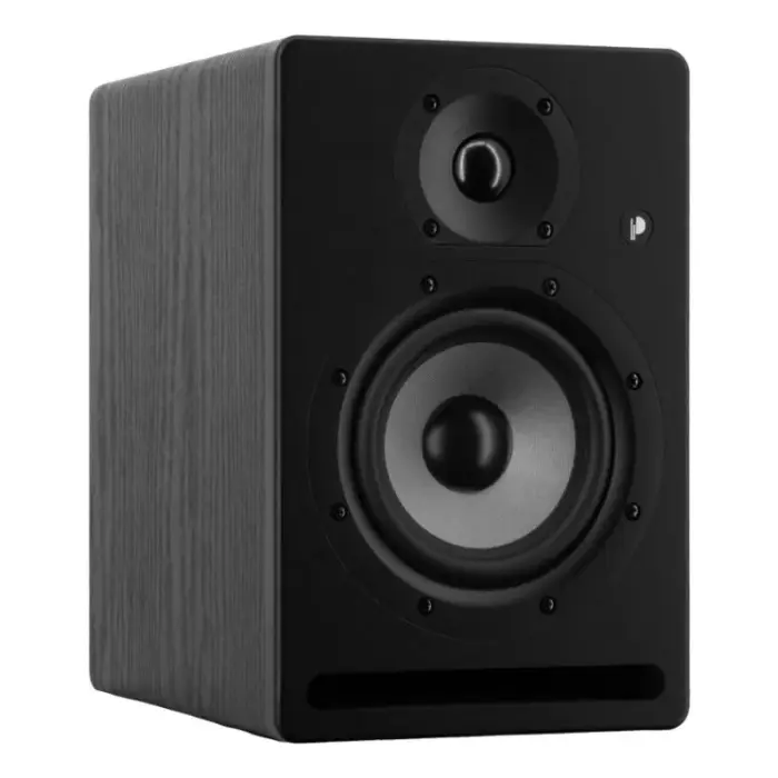 Prodipe Pro5 V4 2 krypčių juodas laidinis 75W