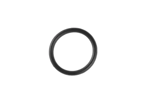 Piston Head O-Ring