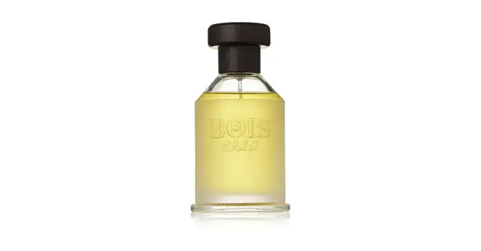 Bois 1920 Vetiver Ambrato tualetinis vanduo, unisex, 100 ml