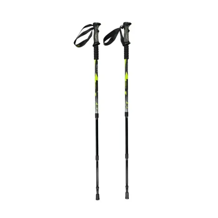 CMP Bern Trekking Poles green and black 3B36297 U911