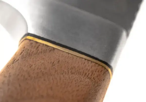 Premium Skinner Fixed Blade Knife Photo