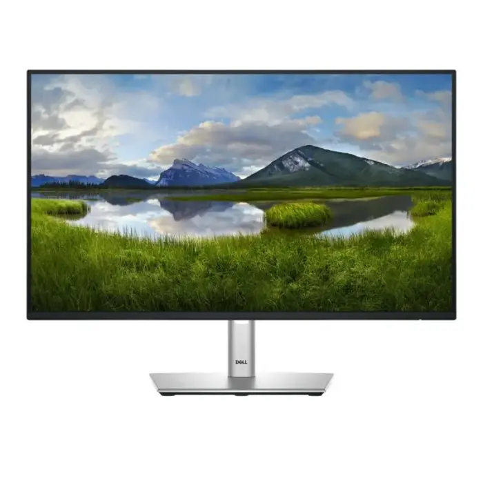 DELL LED 24" P2425H monitors