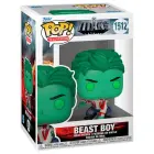 Funko POP kujuke Titans Beast Boy — Foto 1