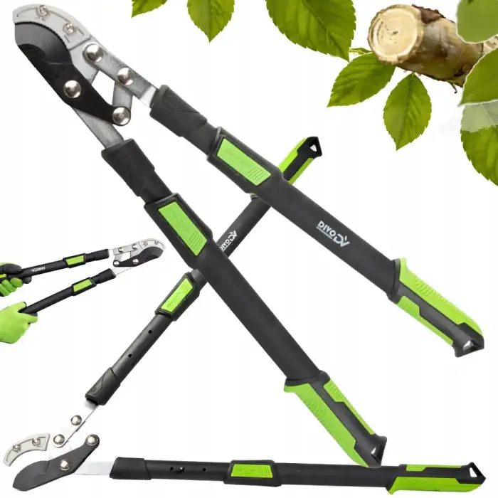 Pruning shears for dry branches of shrubs and plants – gardening, long handle – DIVODV
