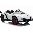 Lamborghini Veneno, 2 persons — Photo 2