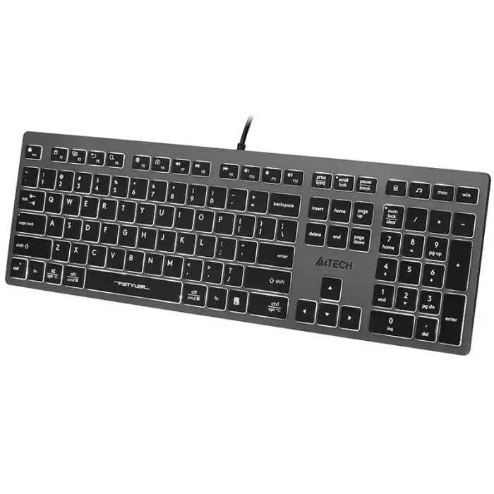 A4TECH tastatūra FSTYLER FX60H