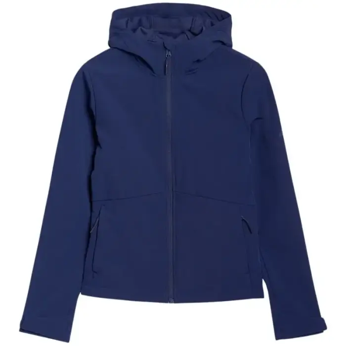 Softshell jacket 4F F320 W 4FWSS25TSOFF320